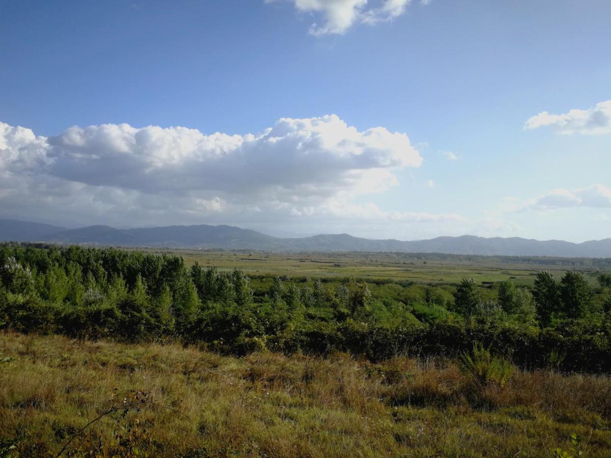 Az.Agricola Agriturismo La Locanda Di Lann Lägenhet Fucecchio Exteriör bild
