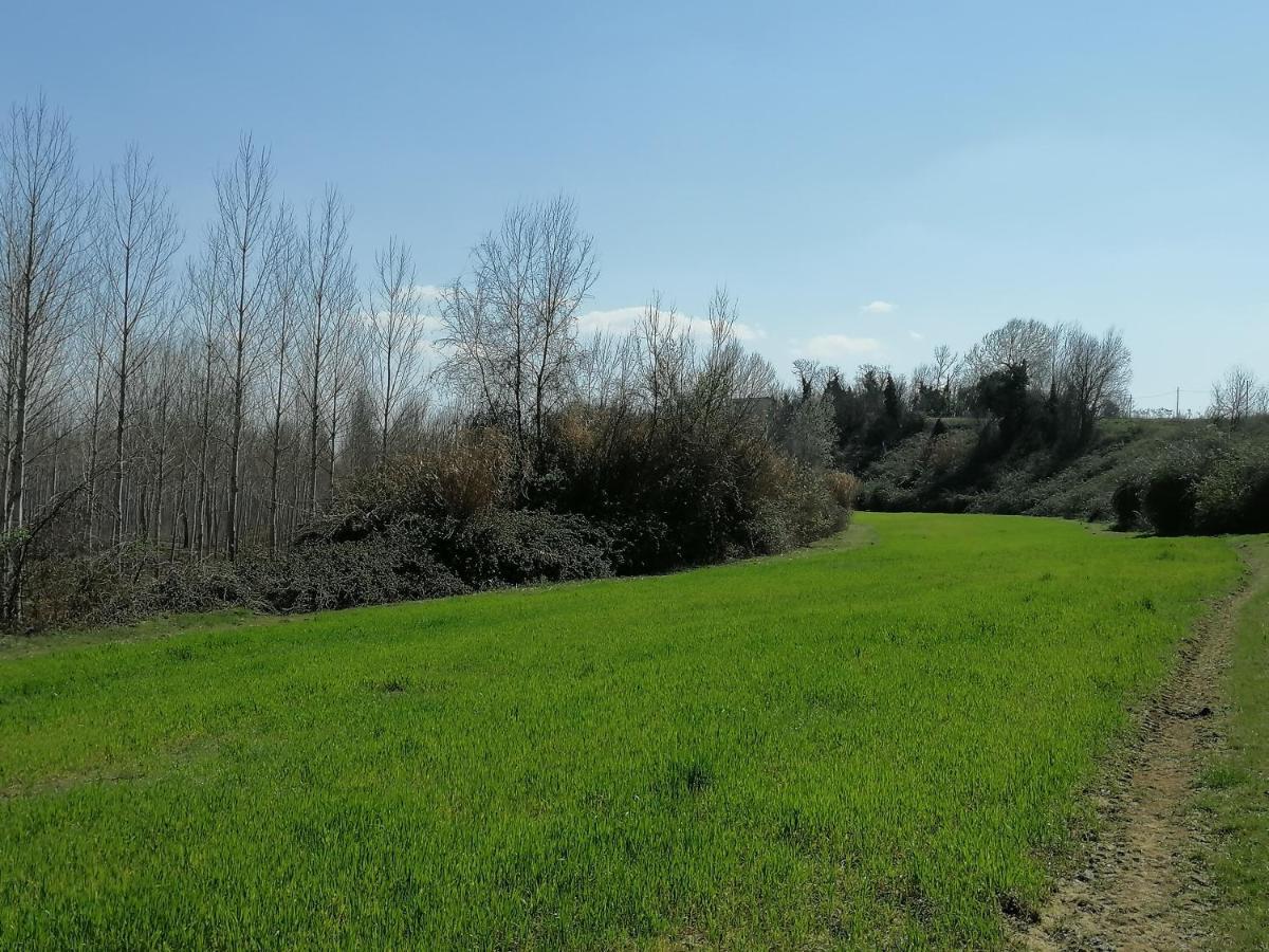 Az.Agricola Agriturismo La Locanda Di Lann Lägenhet Fucecchio Exteriör bild