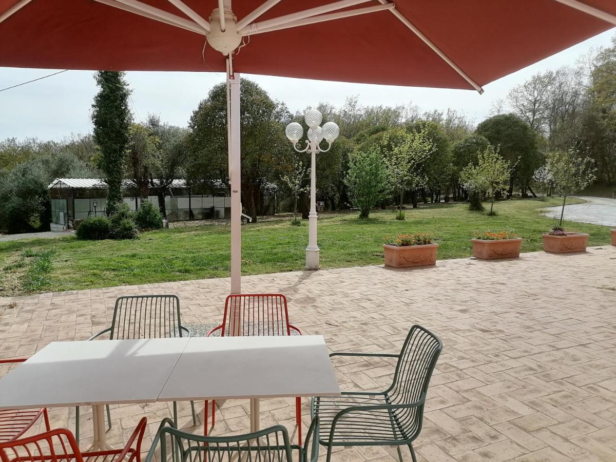 Az.Agricola Agriturismo La Locanda Di Lann Lägenhet Fucecchio Exteriör bild