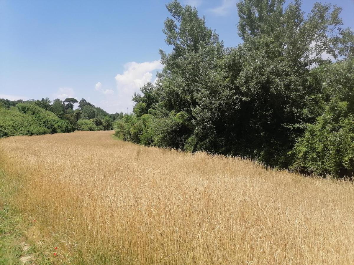 Az.Agricola Agriturismo La Locanda Di Lann Lägenhet Fucecchio Exteriör bild