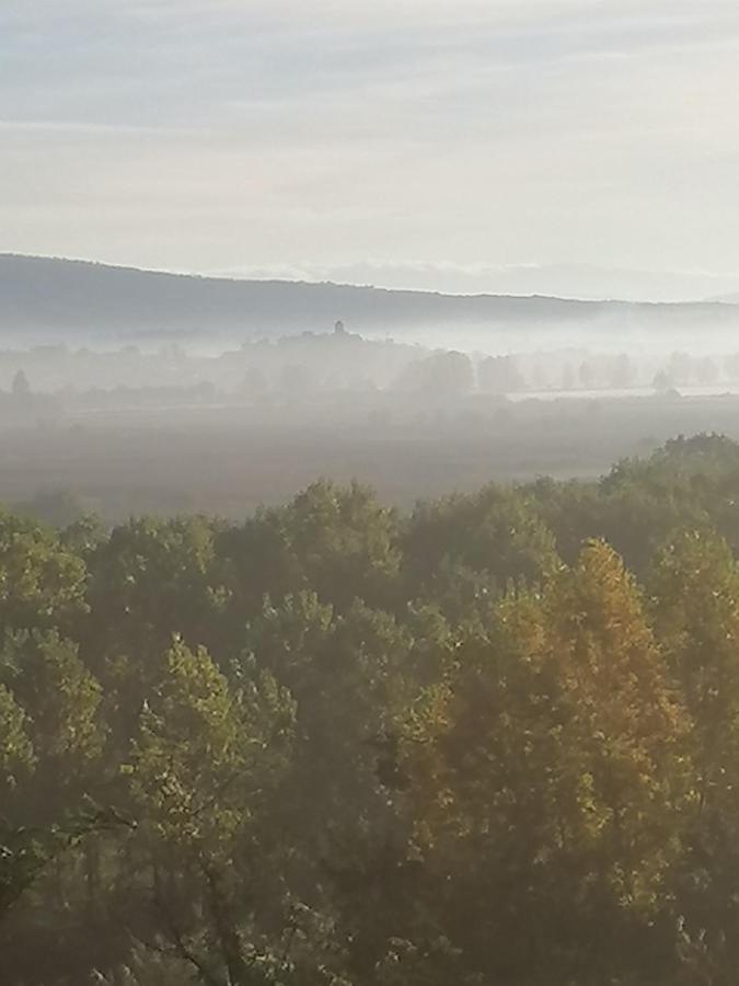Az.Agricola Agriturismo La Locanda Di Lann Lägenhet Fucecchio Exteriör bild