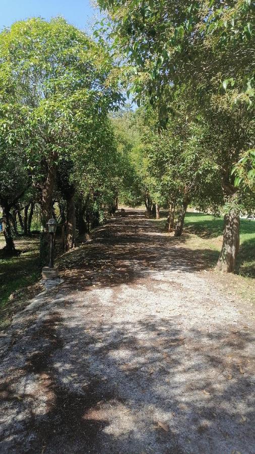 Az.Agricola Agriturismo La Locanda Di Lann Lägenhet Fucecchio Exteriör bild