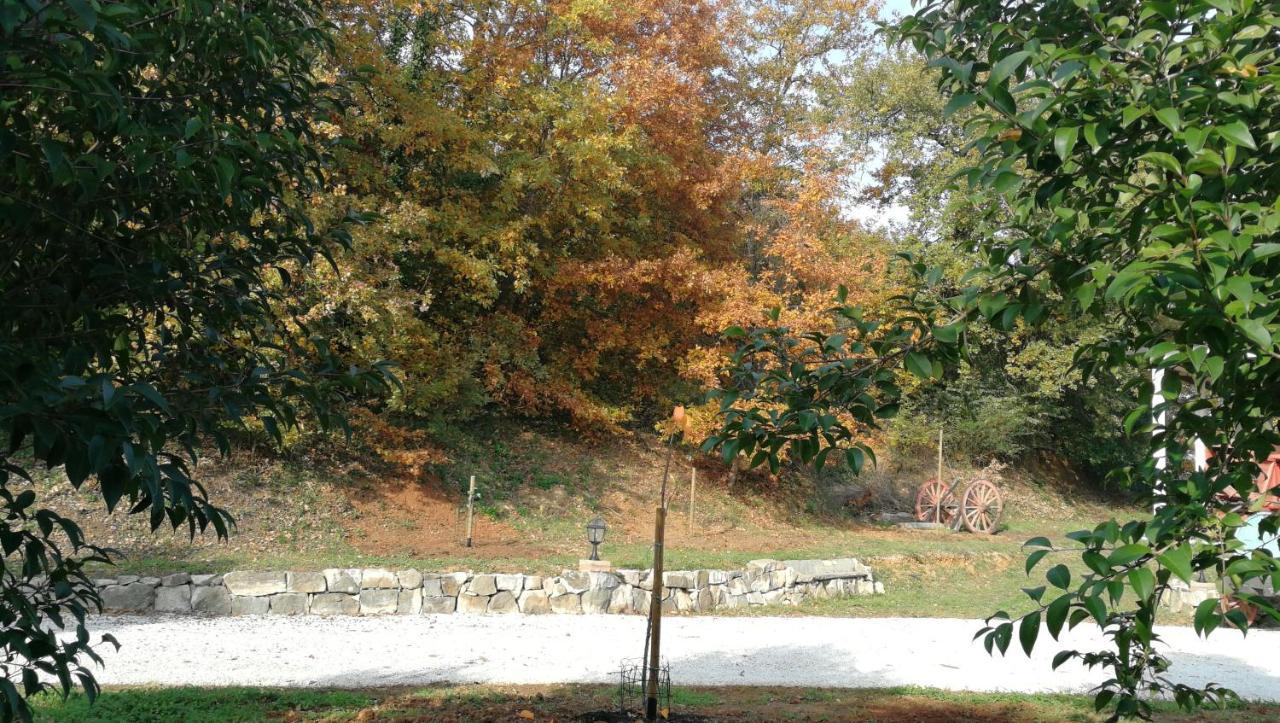Az.Agricola Agriturismo La Locanda Di Lann Lägenhet Fucecchio Exteriör bild