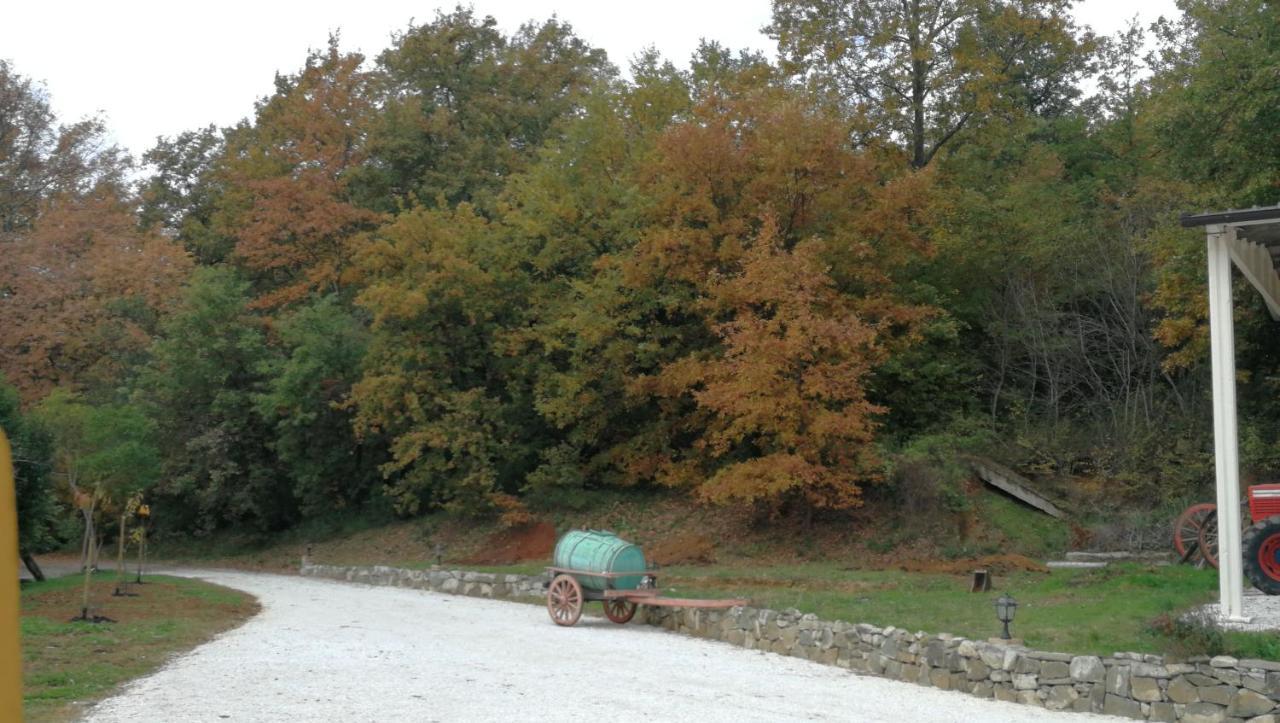 Az.Agricola Agriturismo La Locanda Di Lann Lägenhet Fucecchio Exteriör bild