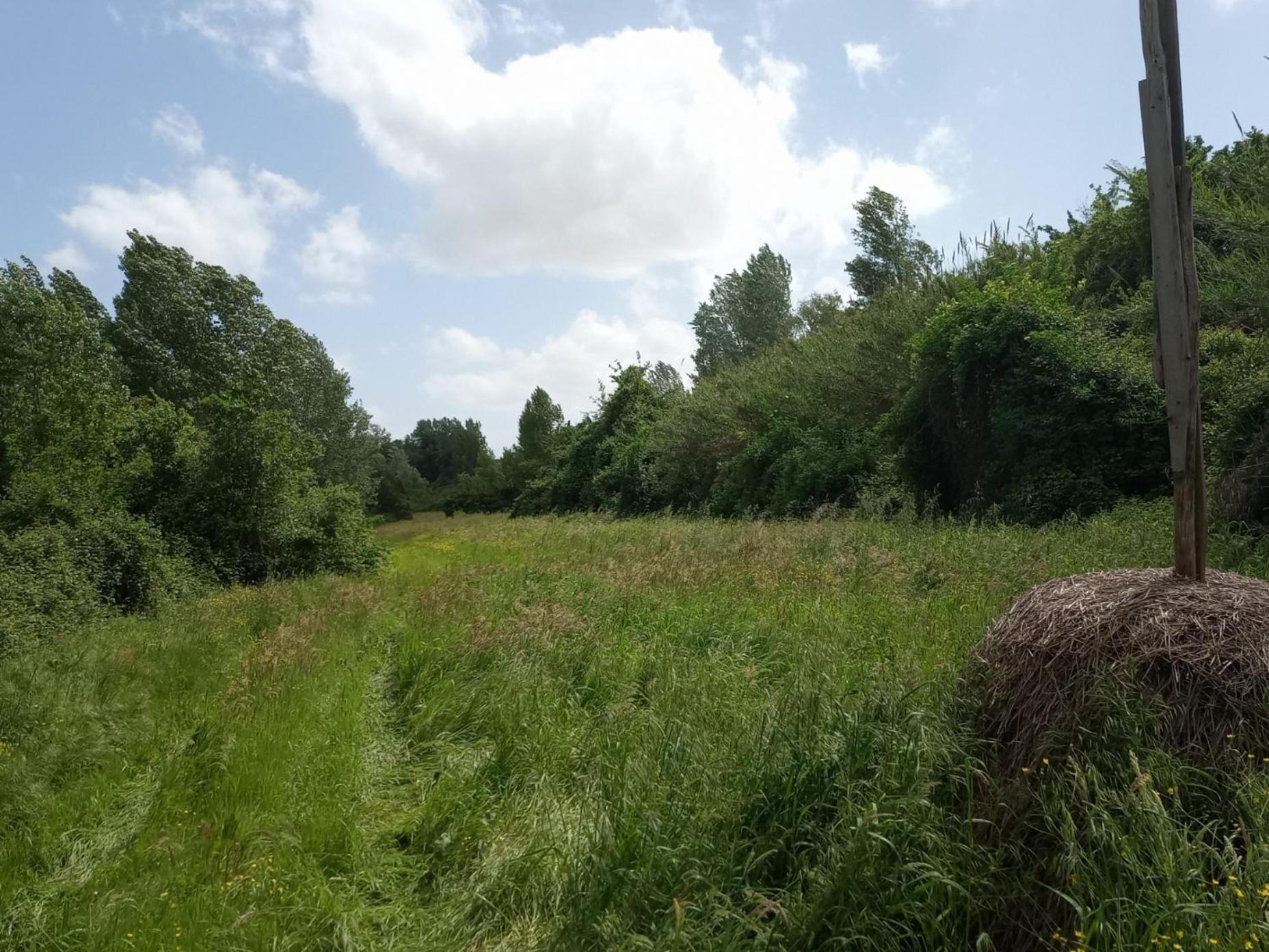 Az.Agricola Agriturismo La Locanda Di Lann Lägenhet Fucecchio Exteriör bild
