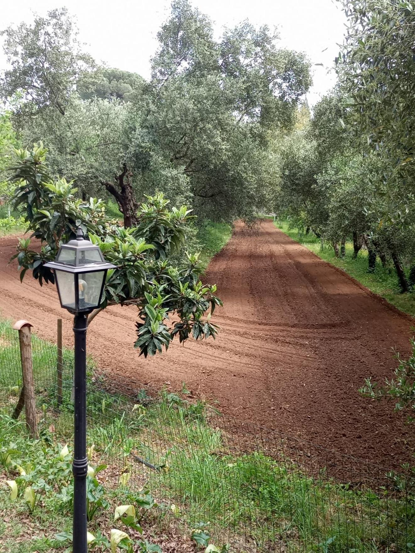 Az.Agricola Agriturismo La Locanda Di Lann Lägenhet Fucecchio Exteriör bild
