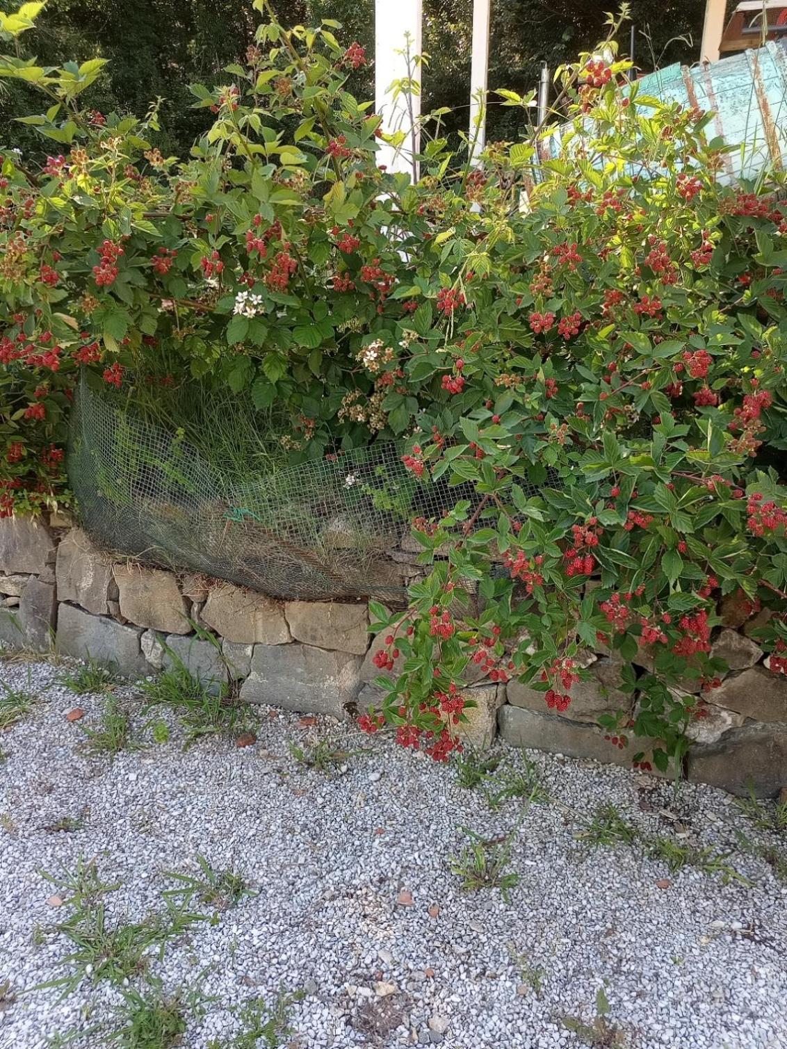 Az.Agricola Agriturismo La Locanda Di Lann Lägenhet Fucecchio Exteriör bild